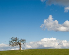 Enlarge photo 359