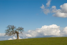 Enlarge photo 358
