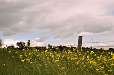 Enlarge photo 123
