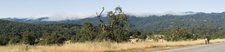 Enlarge photo 136
