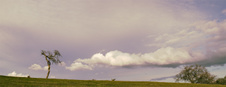 Enlarge photo 115