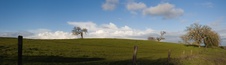 Enlarge photo 130