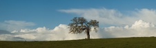Enlarge photo 133