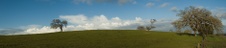 Enlarge photo 132