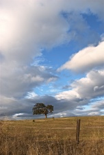 Enlarge photo 212
