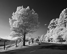 Enlarge photo 269