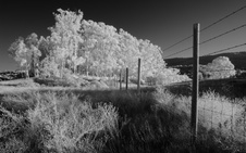 Enlarge photo 280