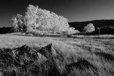 Enlarge photo 282