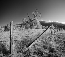 Enlarge photo 291