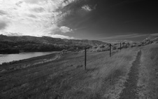 Enlarge photo 283