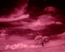 Enlarge photo 300