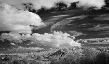 Enlarge photo 299