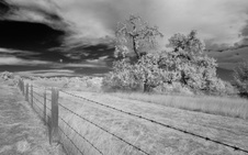 Enlarge photo 298