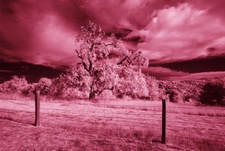Enlarge photo 297