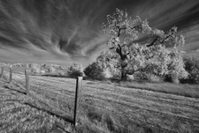 Enlarge photo 323