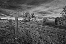 Enlarge photo 322