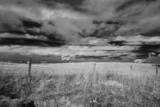 Enlarge photo 318