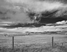 Enlarge photo 317