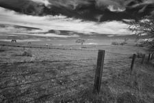 Enlarge photo 320