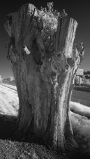 Enlarge photo 86