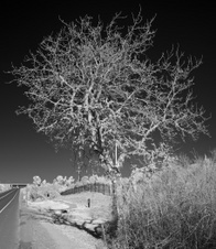 Enlarge photo 84