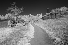 Enlarge photo 83