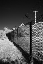 Enlarge photo 82