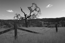 Enlarge photo 70