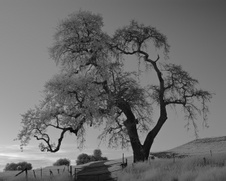 Enlarge photo 69