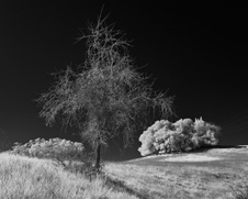 Enlarge photo 74