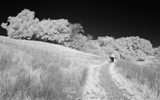 Enlarge photo 76