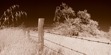 Enlarge photo 65