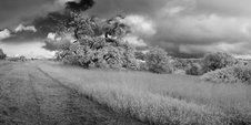 Enlarge photo 55