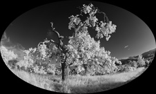 Enlarge photo 47