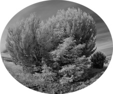 Enlarge photo 34