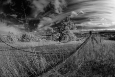 Enlarge photo 35