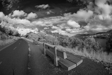 Enlarge photo 33