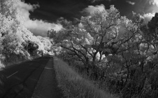 Enlarge photo 32