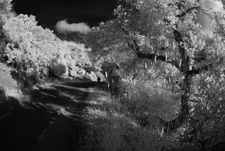 Enlarge photo 31