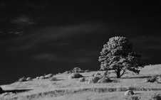 Enlarge photo 29