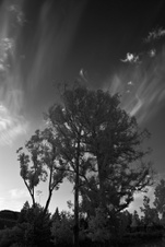 Enlarge photo 26