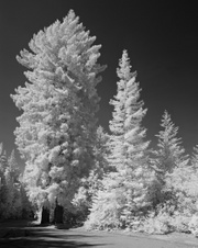 Enlarge photo 23