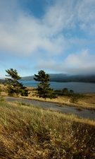 Enlarge photo 242