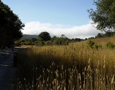 Enlarge photo 262