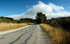 Enlarge photo 261