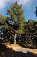 Enlarge photo 266