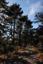 Enlarge photo 265
