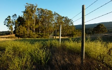 Enlarge photo 279