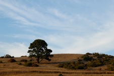 Enlarge photo 278