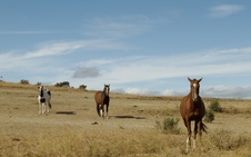 Enlarge photo 304